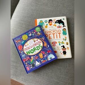 Bundle of Two French Vocabulary Books